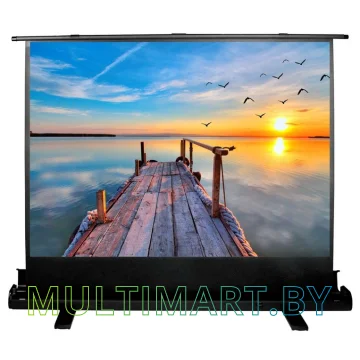 Проекционный экран CACTUS FloorExpert 113x200 (CS-PSFLE-200X113)